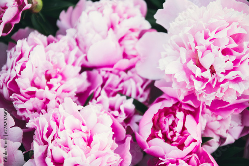Fresh bright blooming peonies flowers. Bouquet of pink peony background. © Shi 