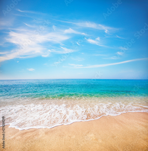 sandy beach and tropical sea