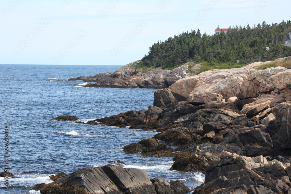 nature, landscapes, architecture, floral, animals, insects, flowers, birds, buildings, lighthouse, automotive nature, landscapes, architecture, floral, animals, insects, flowers, birds, buildings, lighthouse, automotive