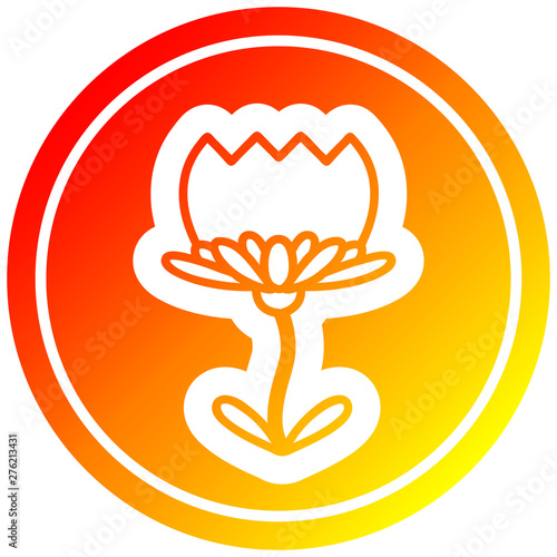 lotus flower circular in hot gradient spectrum