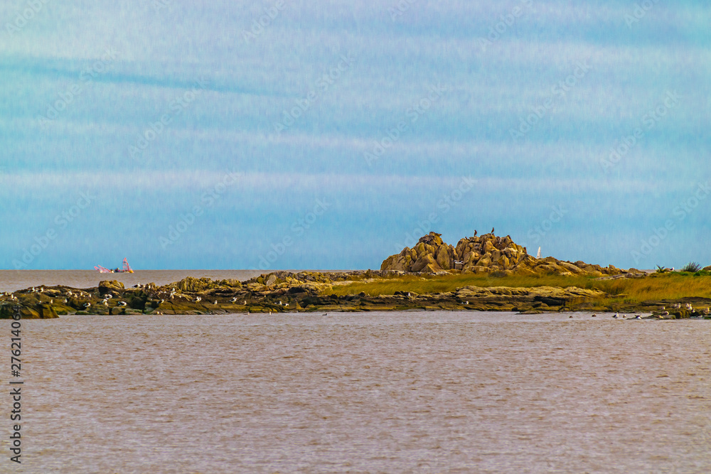 Gulls Island, Montevideo, Uruguay