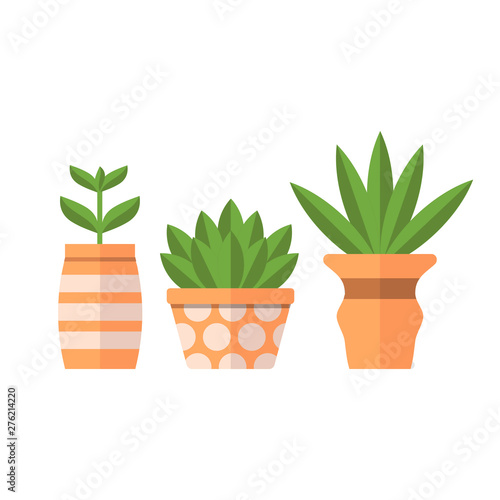 Plants in clay pots in flat style isolated on white background. Set of flowers. Vector illustration. 