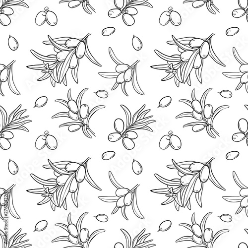 Seamless Sea buckthorn pattern. Outline style. Background for textile, wallpaper, scrapbooking, wrapping paper. Design for natural and organic oils, cosmetics, herbal tea, natural juice and jam