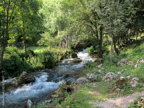 Source of the river Resava in Lisine, Serbia photo