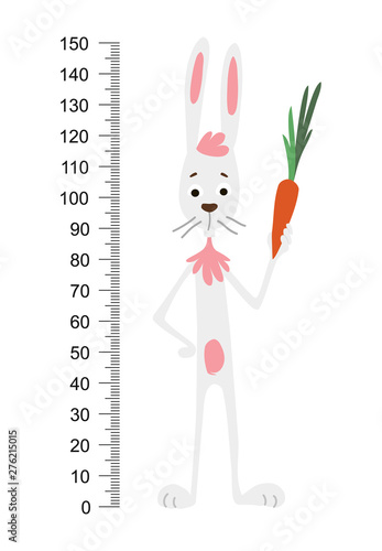 Rabbit wall meter. Cute bunny with a gift on a background of flowers. Stadiometer. Vector illustration.