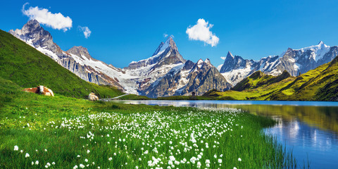 Poster Bergen Bachalpsee meer in Zwitserse Alpen  © Rastislav Sedlak SK