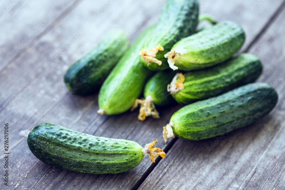 fresh young cucumbers fresh young cucumbers