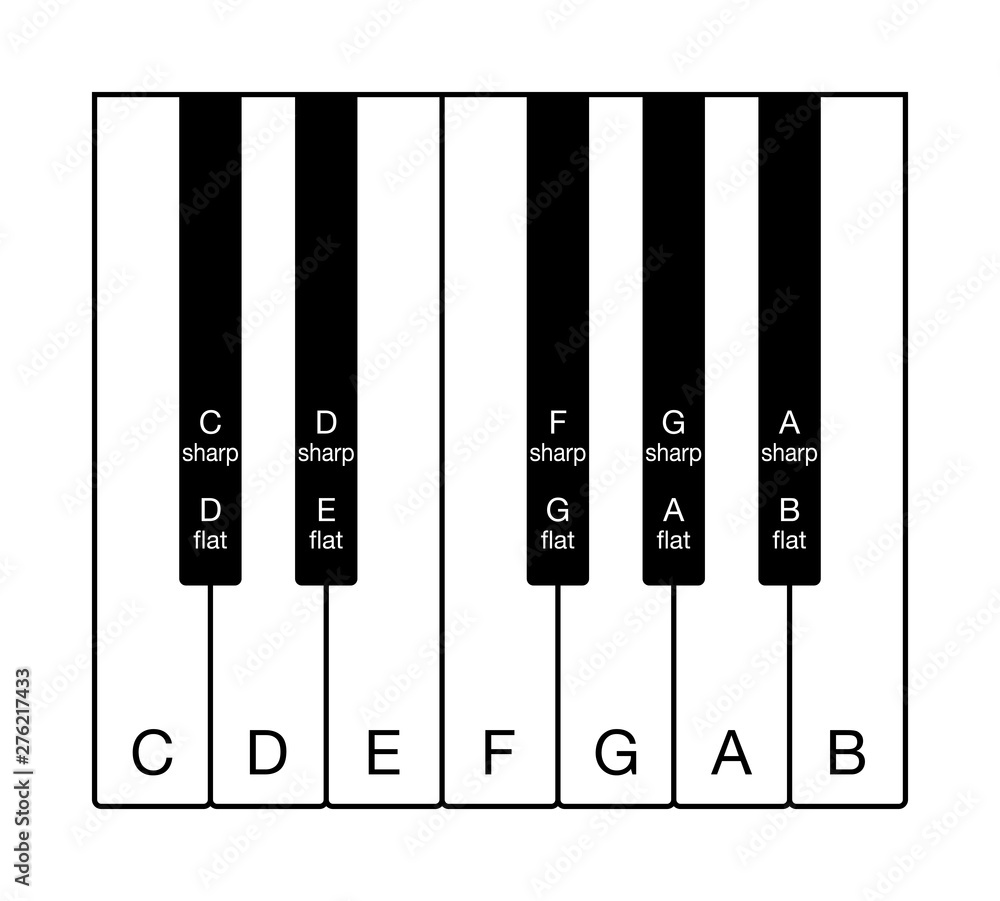 Vecteur Stock Twelve-tone chromatic scale on a keyboard. One octave of notes  of the Western musical scale. Twelve keys from C to B with the names of the  notes in English. Illustration