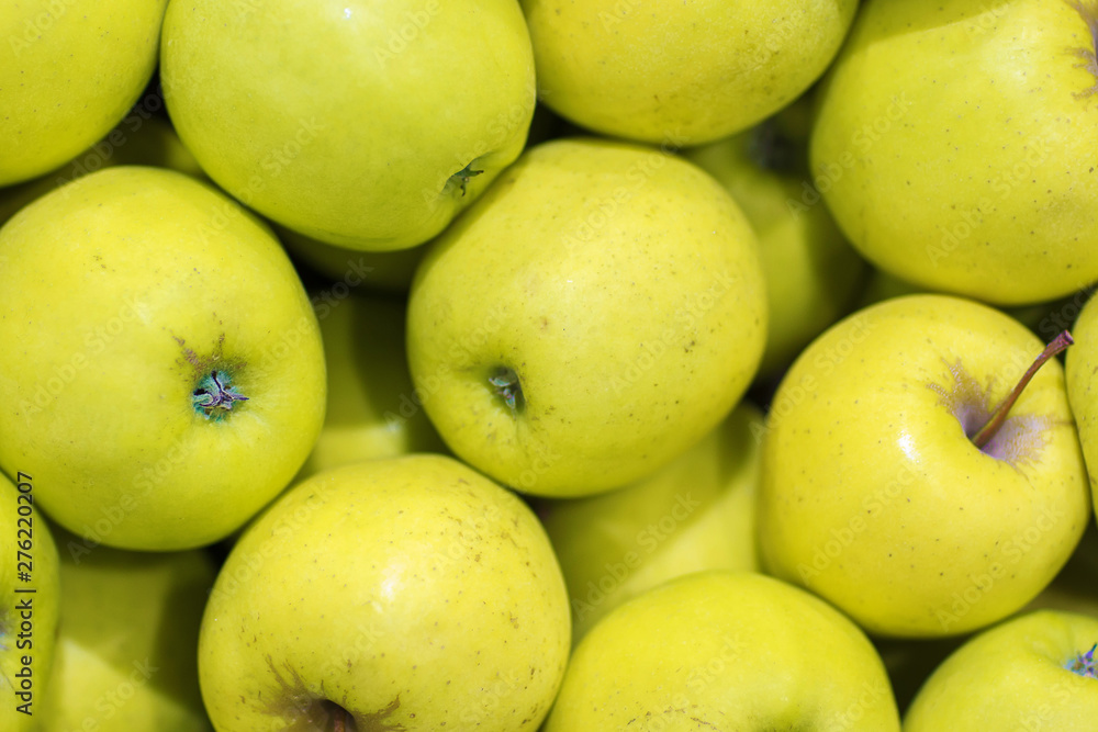 Lots of yellow apples. Natural condition. Top view as background Lots of yellow apples. Natural condition. Top view as background