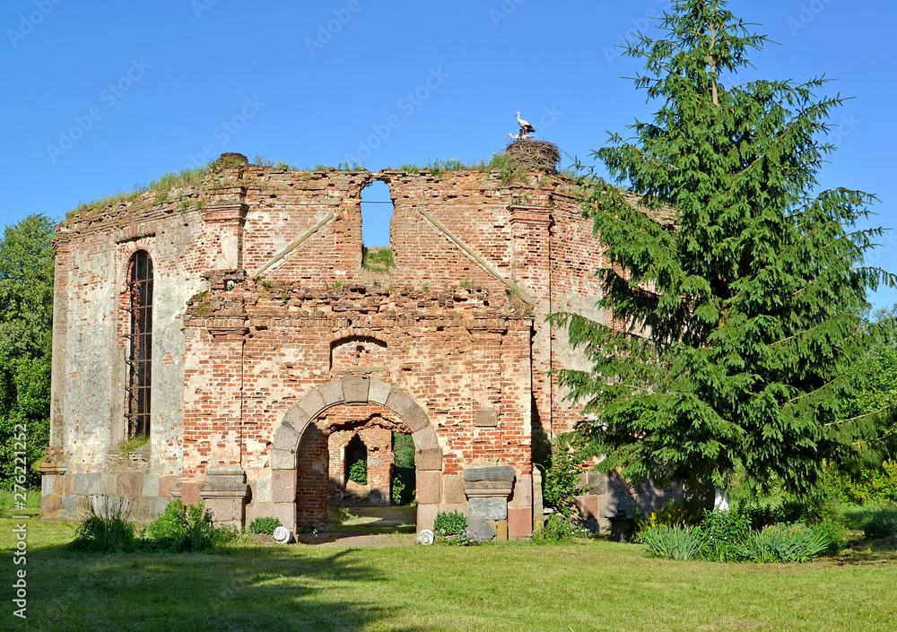 Ruins of Lutheran church Lyappinen's Alto (1703) in summer day. Settlement Big Banks, Kaliningrad region
