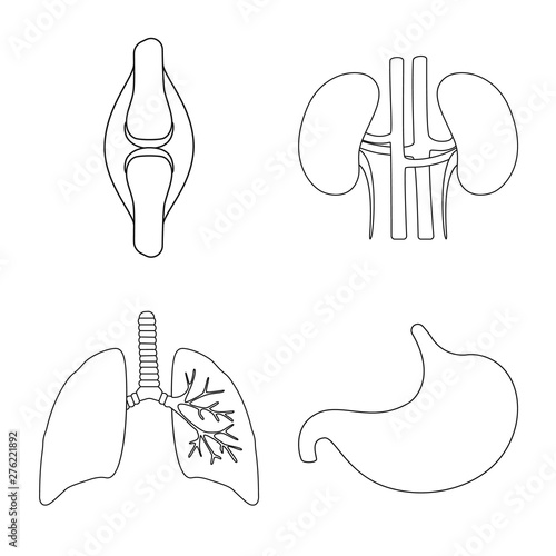 Vector illustration of anatomy and organ logo. Set of anatomy and medical stock vector illustration.