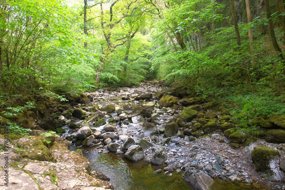 A river passing through a wooded valley in the North Yorkshire Dales. A river passing through a wooded valley in the North Yorkshire Dales.