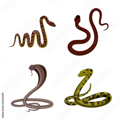 Vector design of poison and evil sign. Set of poison and bite stock vector illustration.