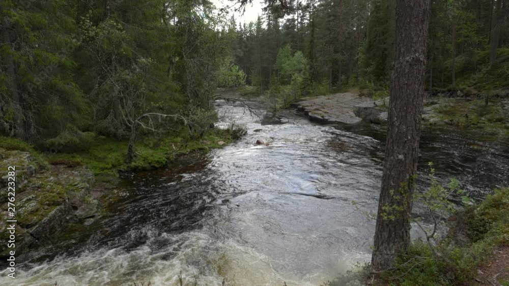 Tilt up slow motion shot of river in a forest in Norway. Tilt up slow motion shot of river in a forest in Norway.