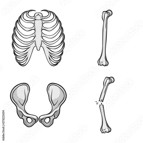 Vector illustration of biology and medical symbol. Set of biology and skeleton stock vector illustration.