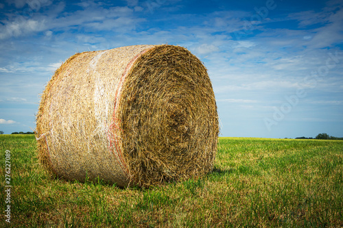 Closeup of a haystack in a grass field with blue sky and copy space on a sunny day of summer.