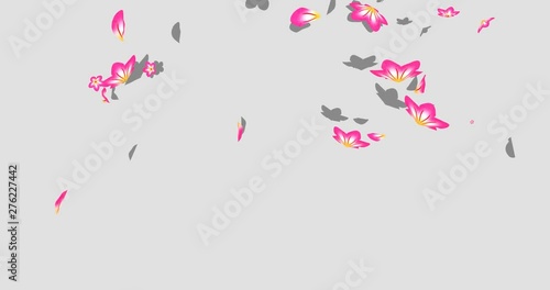 Animation of falling flowers and petals（舞い落ちる花と花びらのアニメーション）
