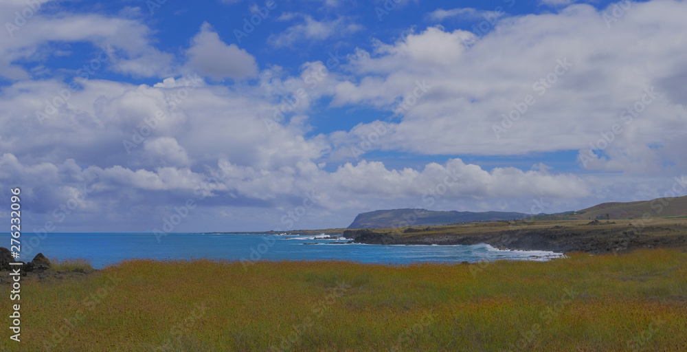 AERIAL Flying over the untouched meadow by the rugged coastline of Easter Island