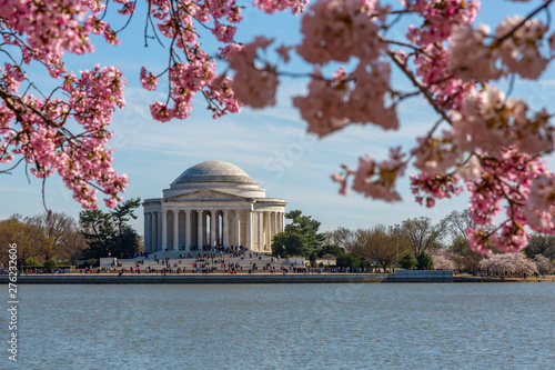 Thomas Jefferson Memorial, Tidal Basin and cherry blossom trees, Washington D.C. photo