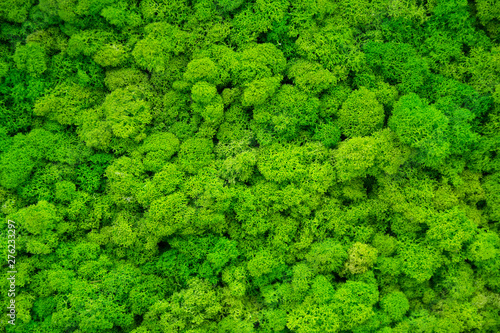 Artificial green moss wall for garden decor. Backgrounds and Textures