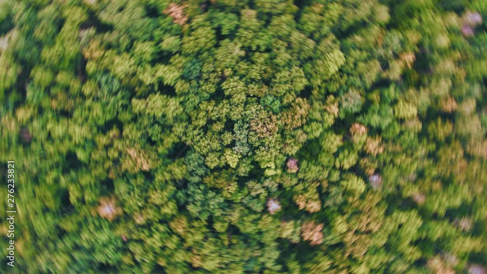 Seamess loop aerial 4k view. Dizzying rotation of the forest with motion blur around the edges Seamess loop aerial 4k view. Dizzying rotation of the forest with motion blur around the edges