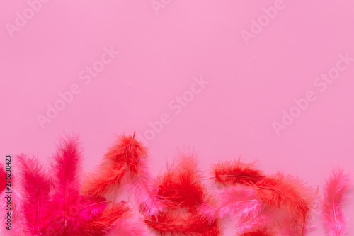 colorful feathers pattern on pink background top view copyspace