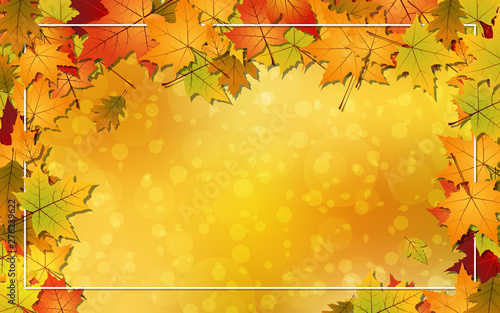 Autumn style vector background with fallen colorful leaves