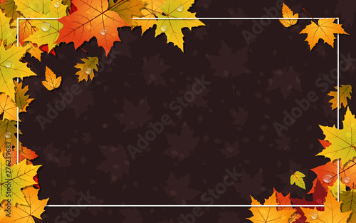 Autumn style vector background with fallen colorful leaves