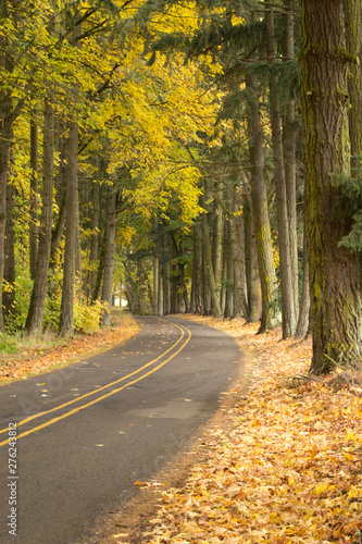 Fototapeta Naklejka Na Ścianę i Meble -  Country Road in Autumn