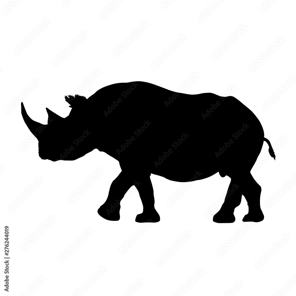 Black Rhinoceros, Diceros Bicornis, Silhouette, Eastern Africa And South Africa Black Rhinoceros, Diceros Bicornis, Silhouette, Eastern Africa And South Africa