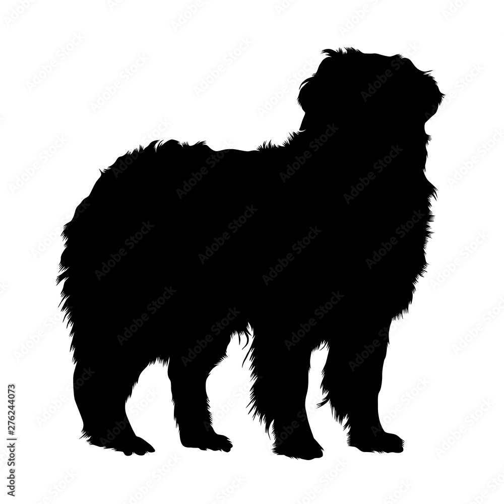 Bernese Mountain Dog Silhouette vector
