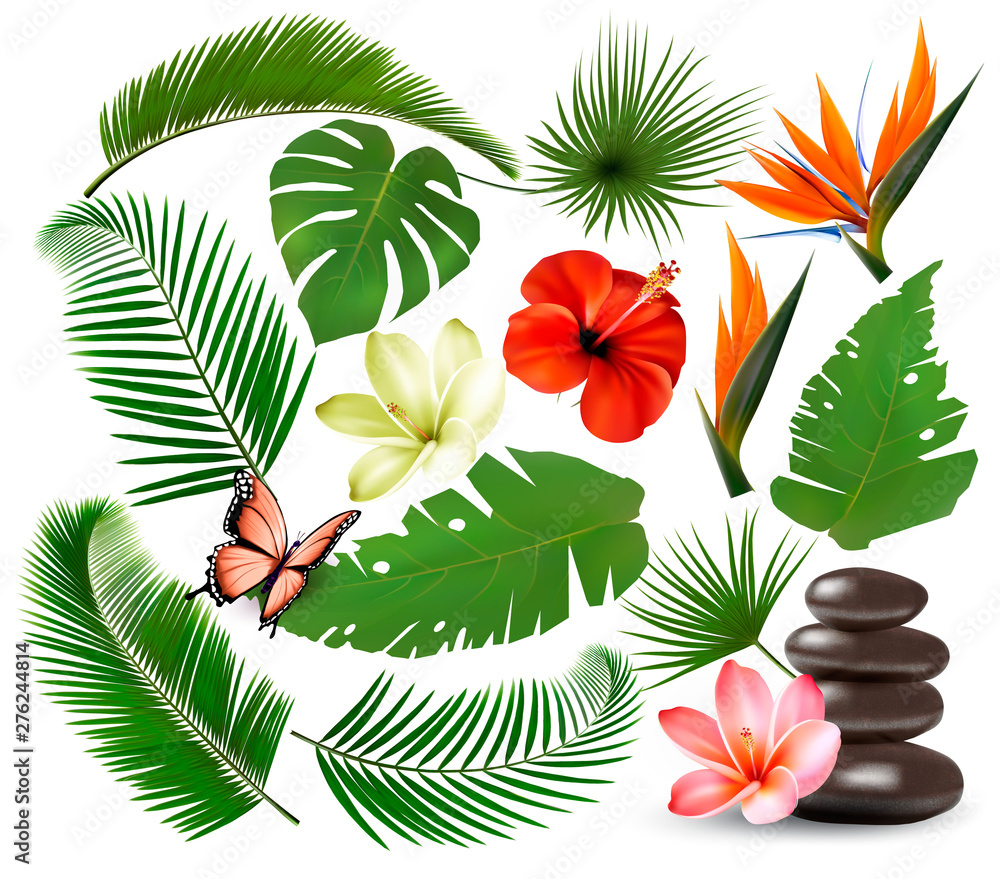 Fototapeta premium Big collection of tropical leaves and plant, flowers and butterfly. Vector