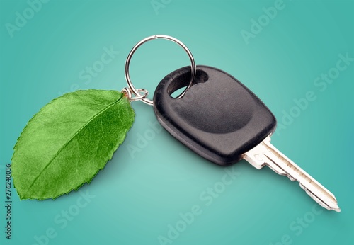 Green car key. photo