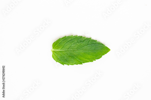 Mint Leaf on White Background
