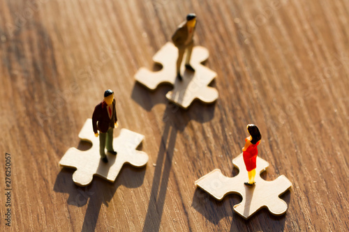 Puzzles and people, third party competition