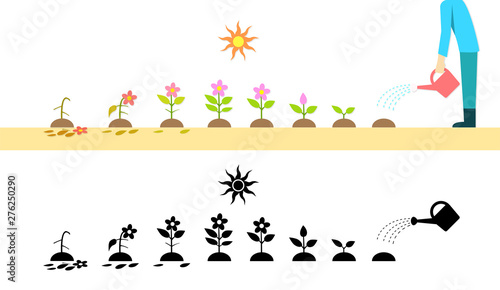 Time lapse flower plant growing in vector art