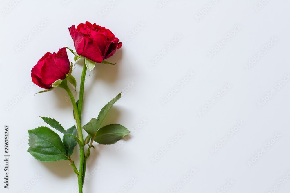 赤薔薇の背景素材 Stock 写真 Adobe Stock