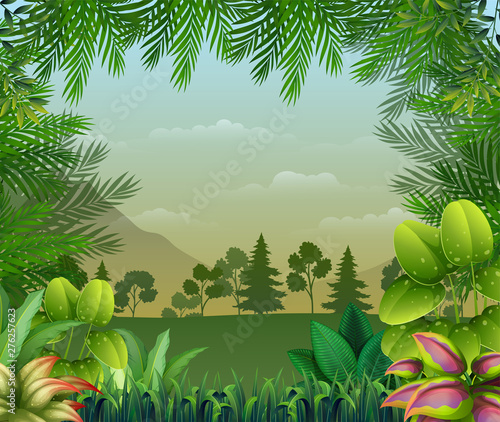 Tropical jungle background with trees and leaves