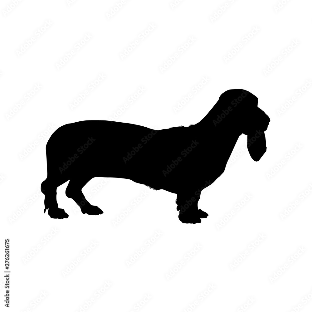 Basset Hound Dog, Side View Silhouette isolated On White