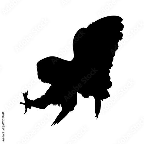 Barn Own, Ready To Hunting, Silhouette, Tyto Alba