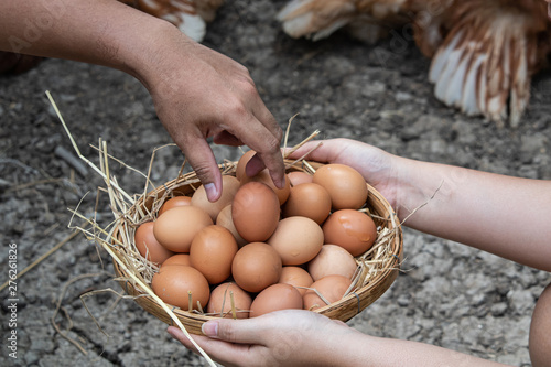 Man's hand taking a fresh hen egg on basket from farmer.