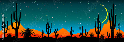 Starry night over the Mexican desert.Desert, cacti, stars night. Starry night over the Mexican desert. Silhouettes of stones, cacti and plants. Desert landscape with cacti. Stony desert 