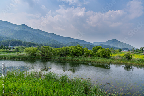 A view of the water garden on a summer's day, NamYangJu Korea.