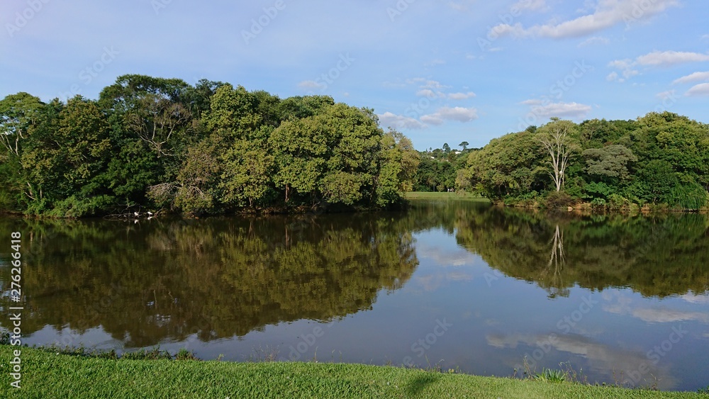 lake in deep forest lake in deep forest