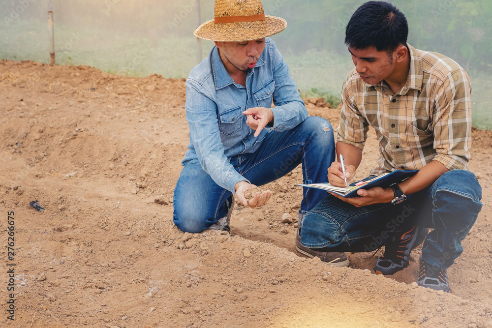 Farmer owner and worker checking control soil quality before seed plant in the greenhouse. - obrazy, fototapety, plakaty 