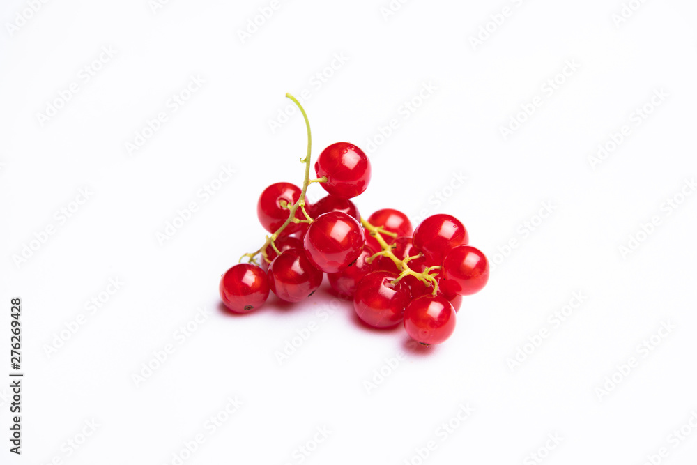 Red Currants on Stems