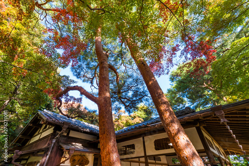 紅葉の殿ヶ谷戸庭園 東屋の風景 photo