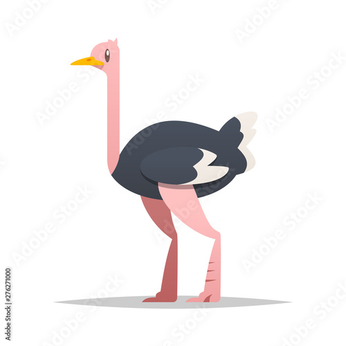 Cartoon ostrich vector isolated illustration