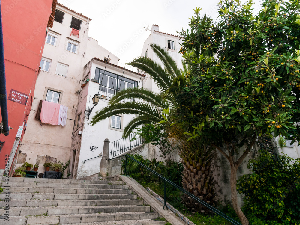 Lisbon, Portugal: Alfama, stairs of Miguel. Lisbon, Portugal: Alfama, stairs of Miguel.