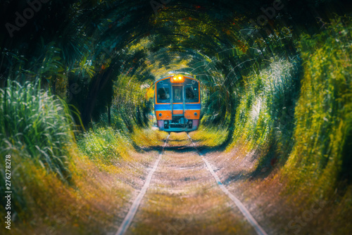 Train running in Natural tunnel trees. / Train running pass through natural tree tunnel on the railway at ,Bangkok,Thailand.